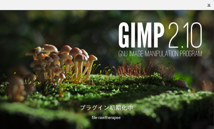 GIMP - Initializing